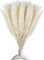 30 Pampas Natural Dried Stems for Stylish Bouquets & Home Decor